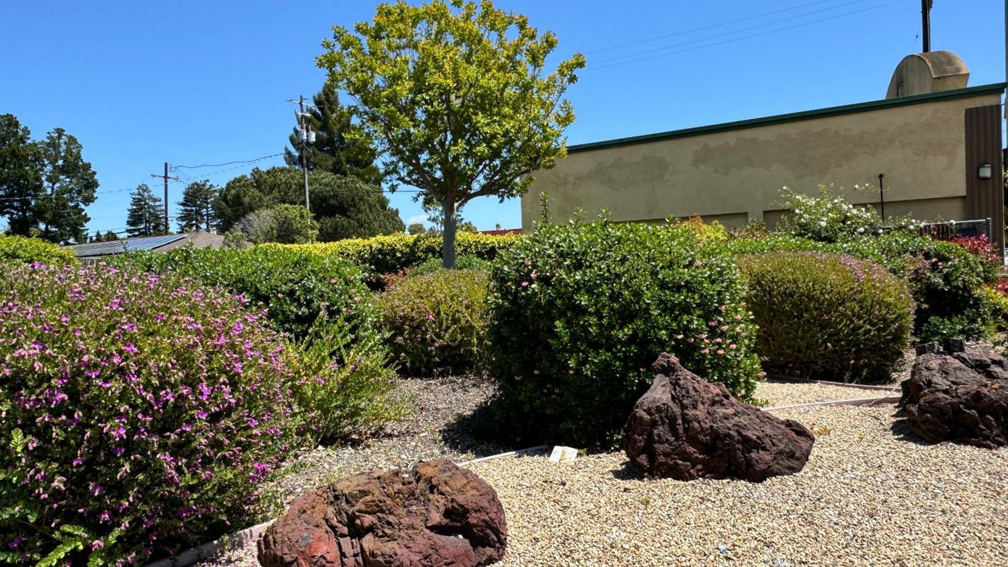 Hitching Post Studios Inn Σάντα Κρουζ Εξωτερικό φωτογραφία